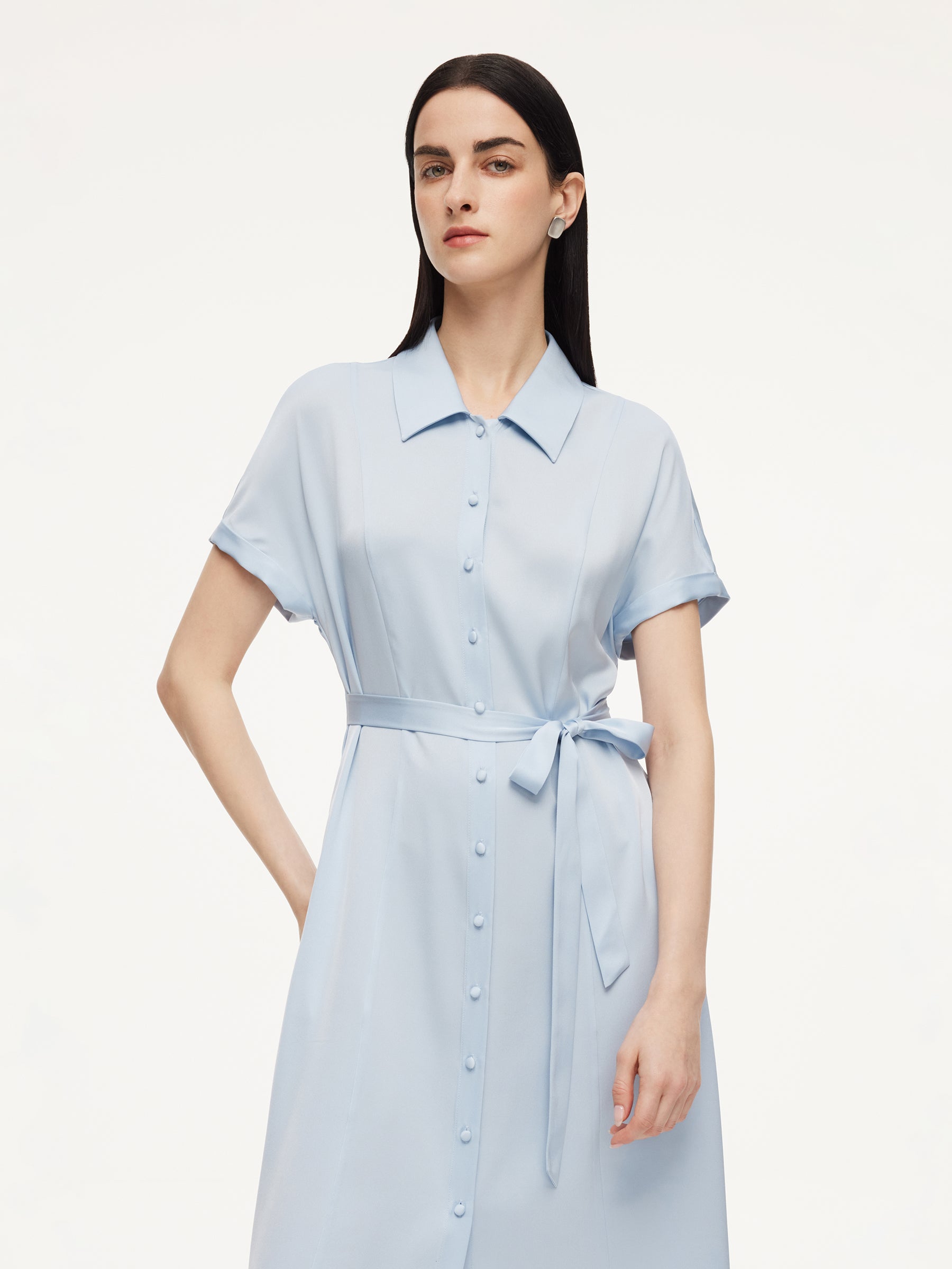 Mulberry Silk Shirt Dress